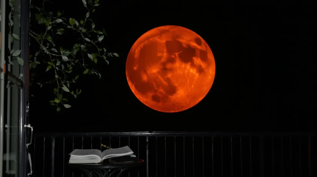 Pleine Lune du 3 mars : ce signe astrologique tirera son épingle du jeu et c'est pratiquement le seul